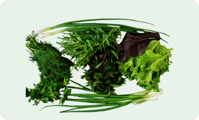Herbs & Spices